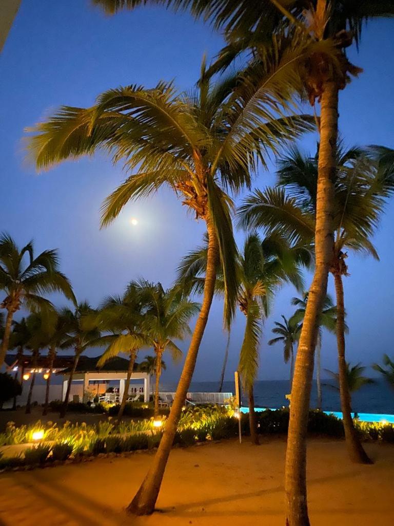 Paradise, panorama sea view photo 1