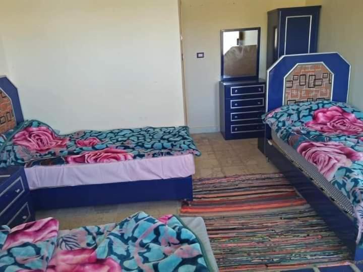 البيت النوبي سهيل photo 1