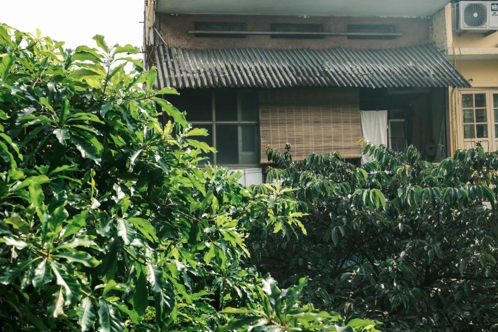 Central Cozy apartment - Beer street 201#301