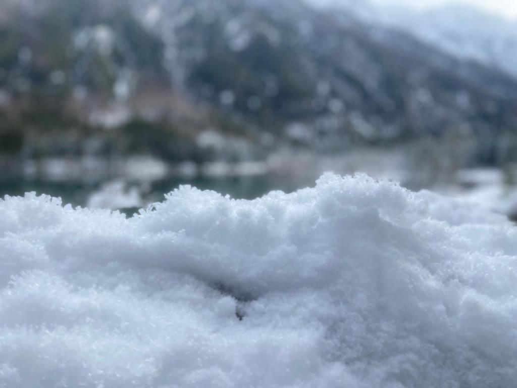 Al Colle photo 4