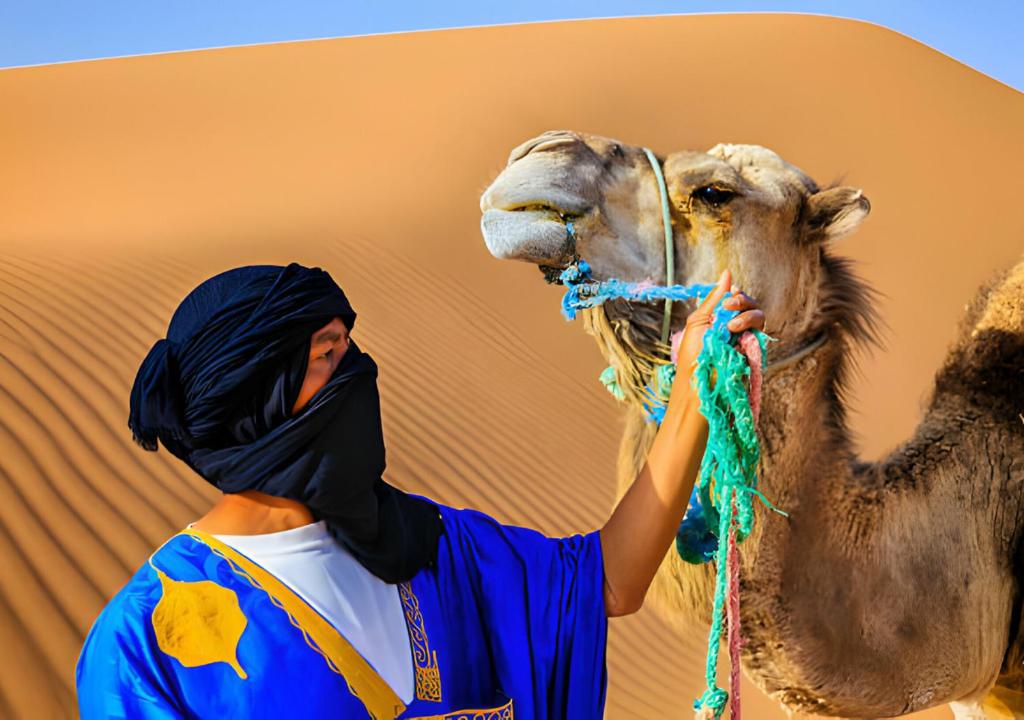 Sahara Berber Camp photo 2