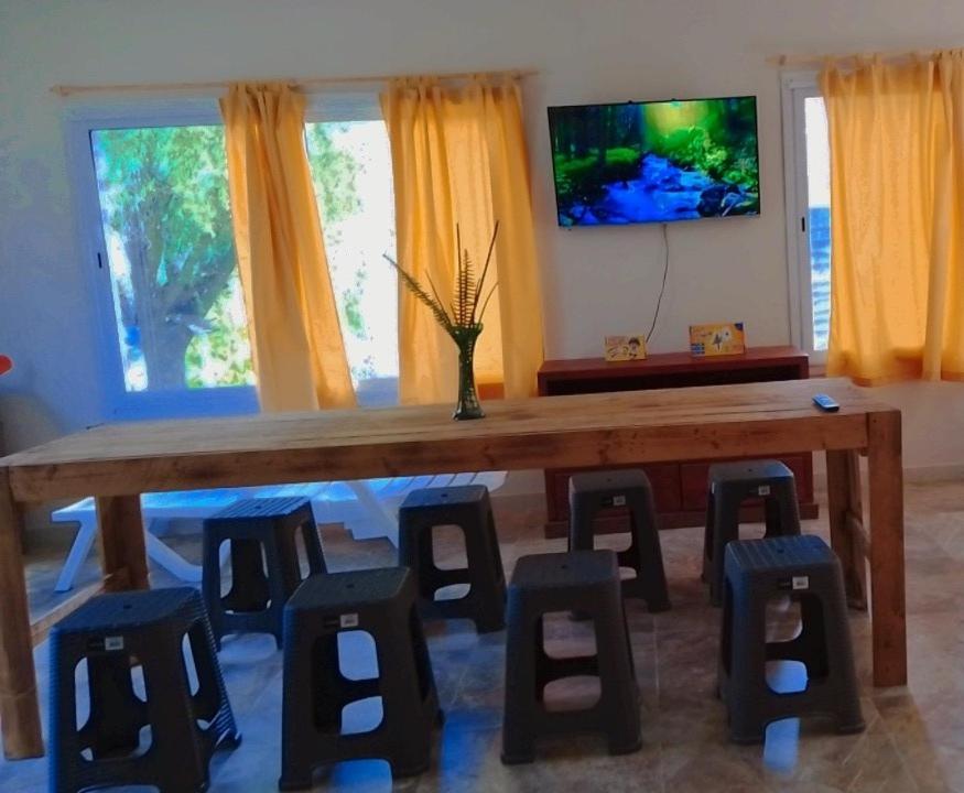 Ficus photo 4