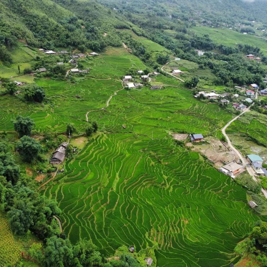 Mao Sapa trekking and homestay