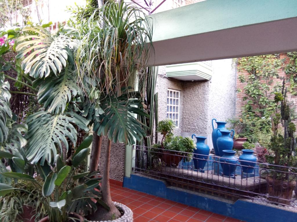 Villa Cholula photo 3
