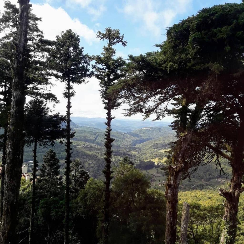Altos da Bela Vista Gramado centro locação de temporada photo 1