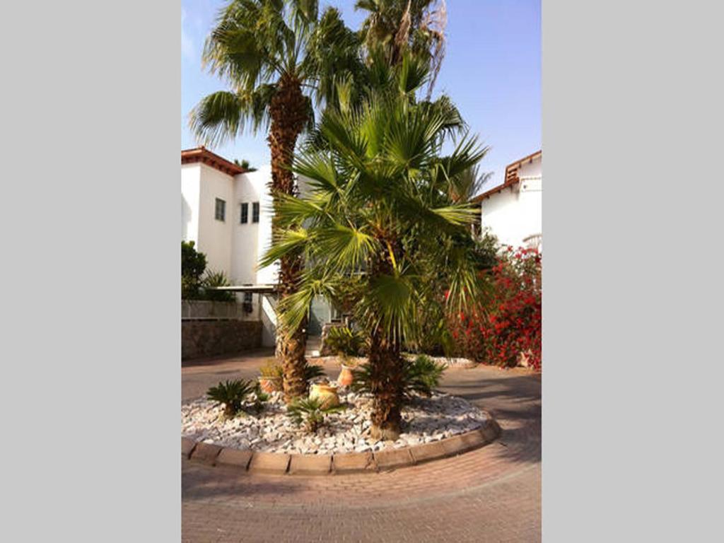 Villa Elie photo 3