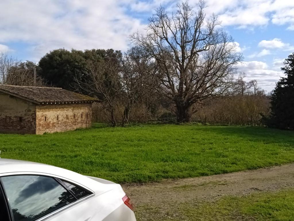 Domaine Le clos du Figuier photo 4
