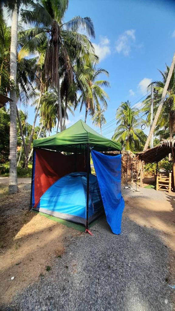 Ganja Gardens Camping photo 1