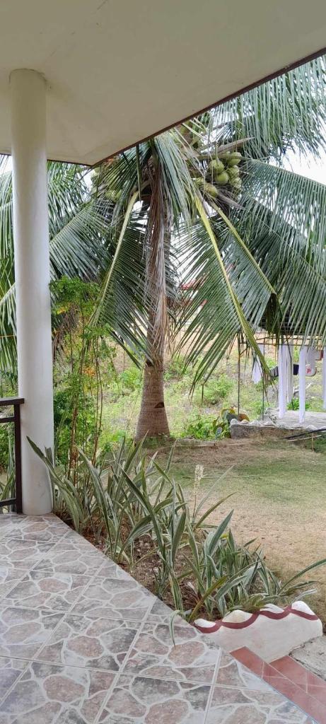Bonita Oasis Beach Resort photo 2