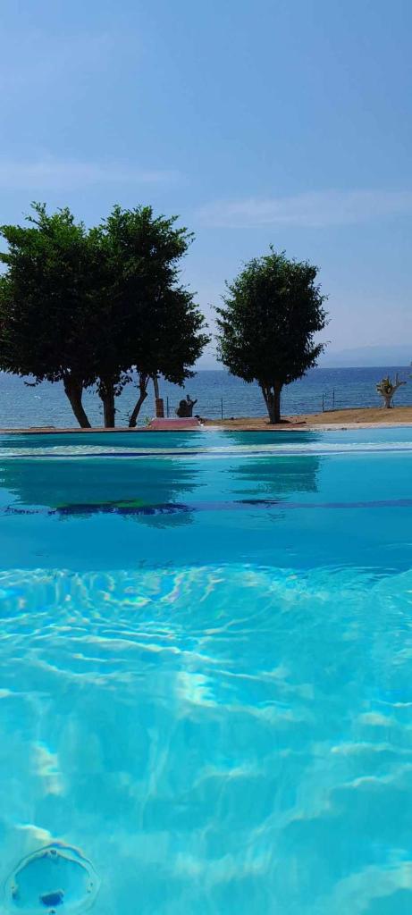 Bonita Oasis Beach Resort photo 1