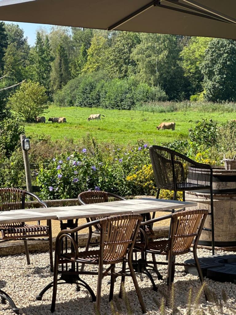 B & B De Romeinse Katzei photo 1