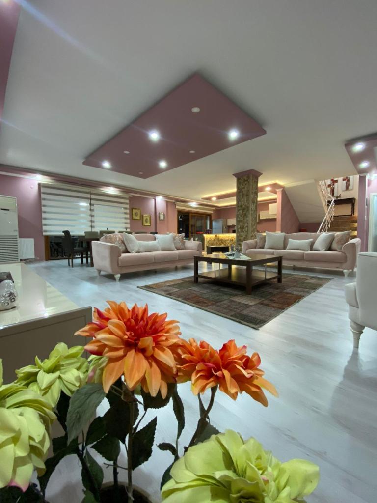 Müstakil Villa photo 1