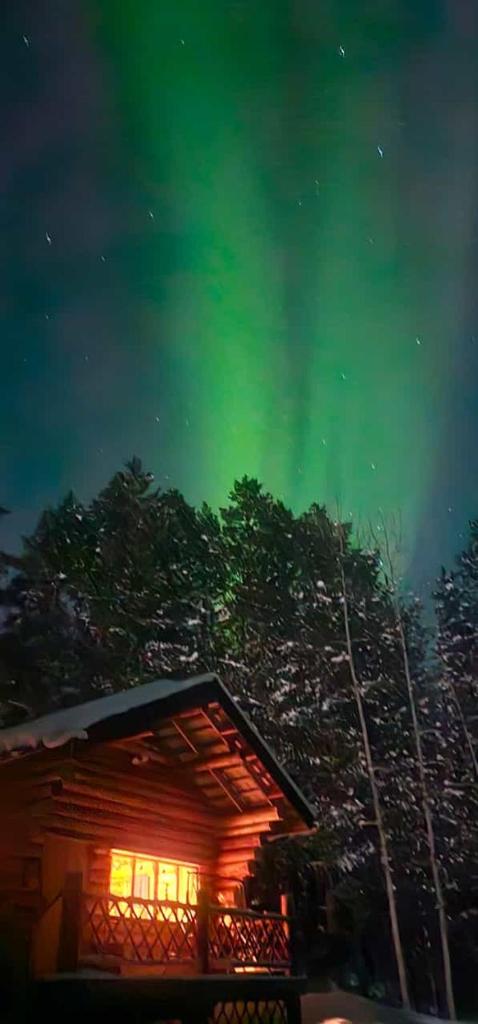 Lakeside wilderness cabin photo 4