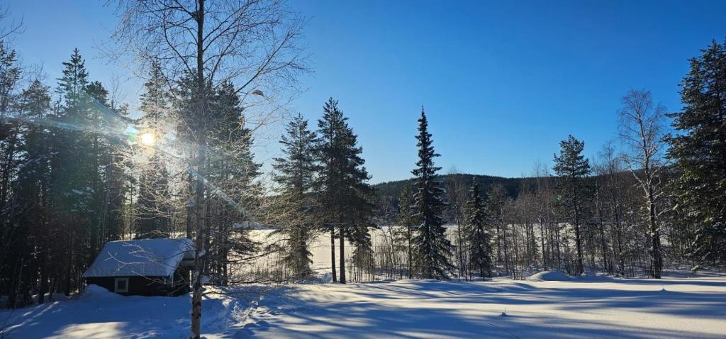 Lakeside wilderness cabin photo 1