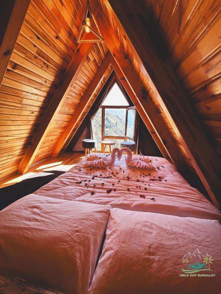 Orca Bungalows photo 1