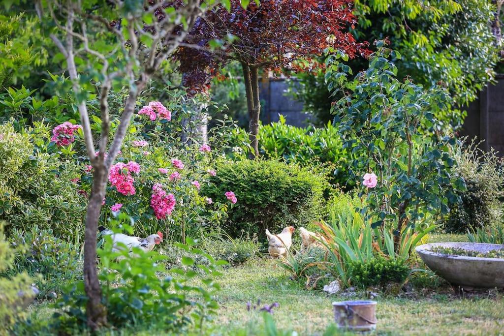 Gite Le Vieux Moulin photo 3