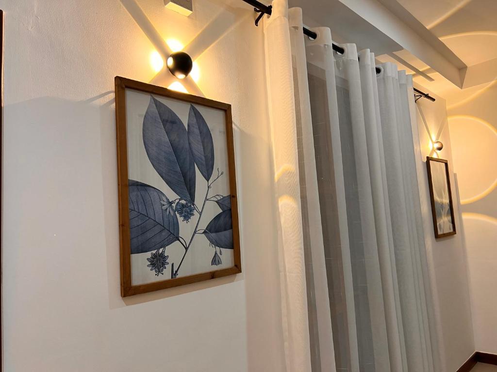 Blue Beach House photo 1