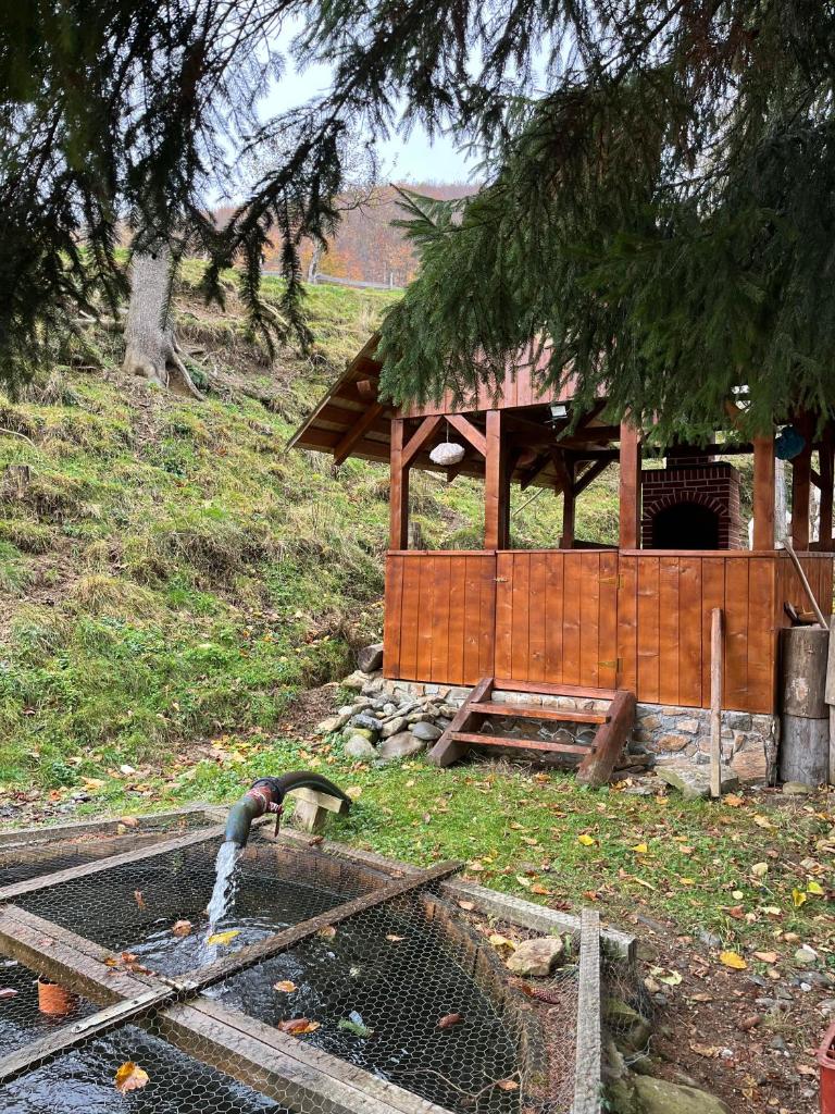 La căsuță photo 4