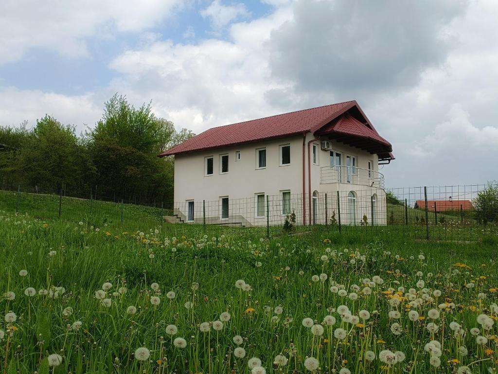 Villa Meadow photo 3
