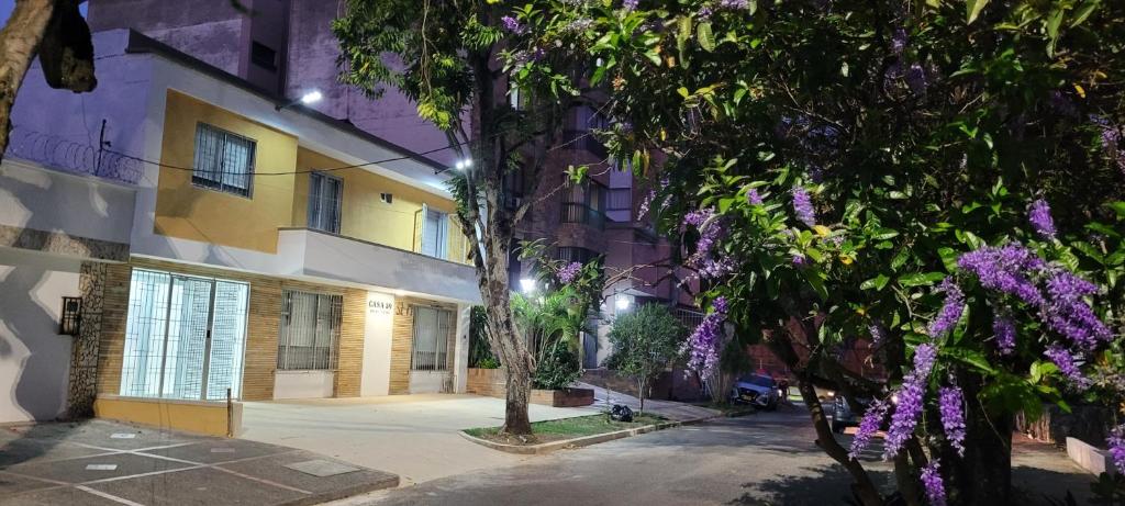 Casa 59 - Guest House photo 4