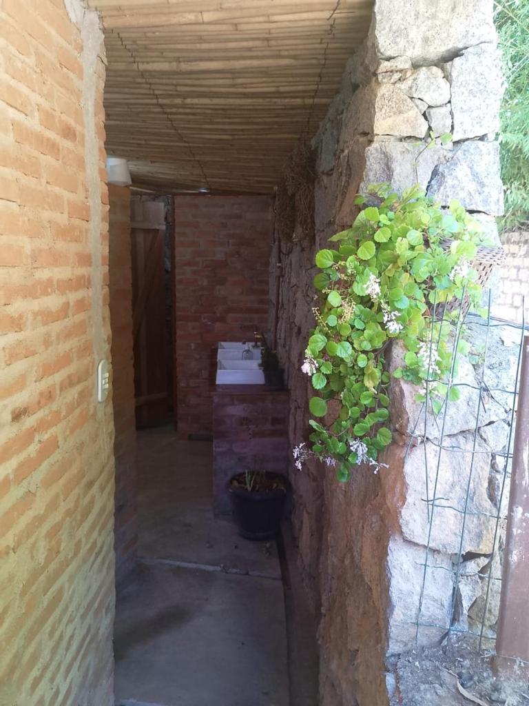 Hostel Pousada Harpia photo 3