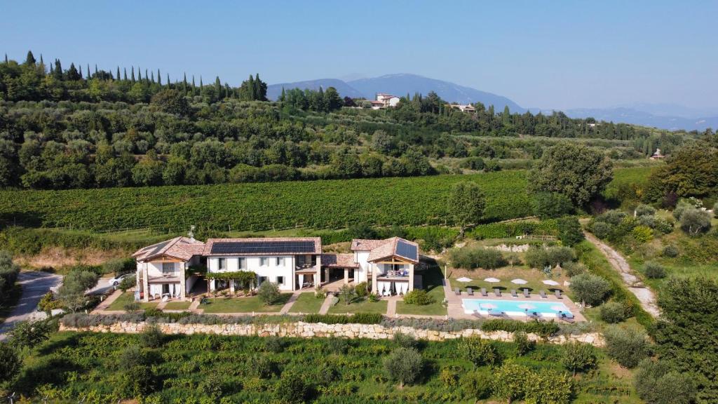 Casa Olivi Apartments photo 2