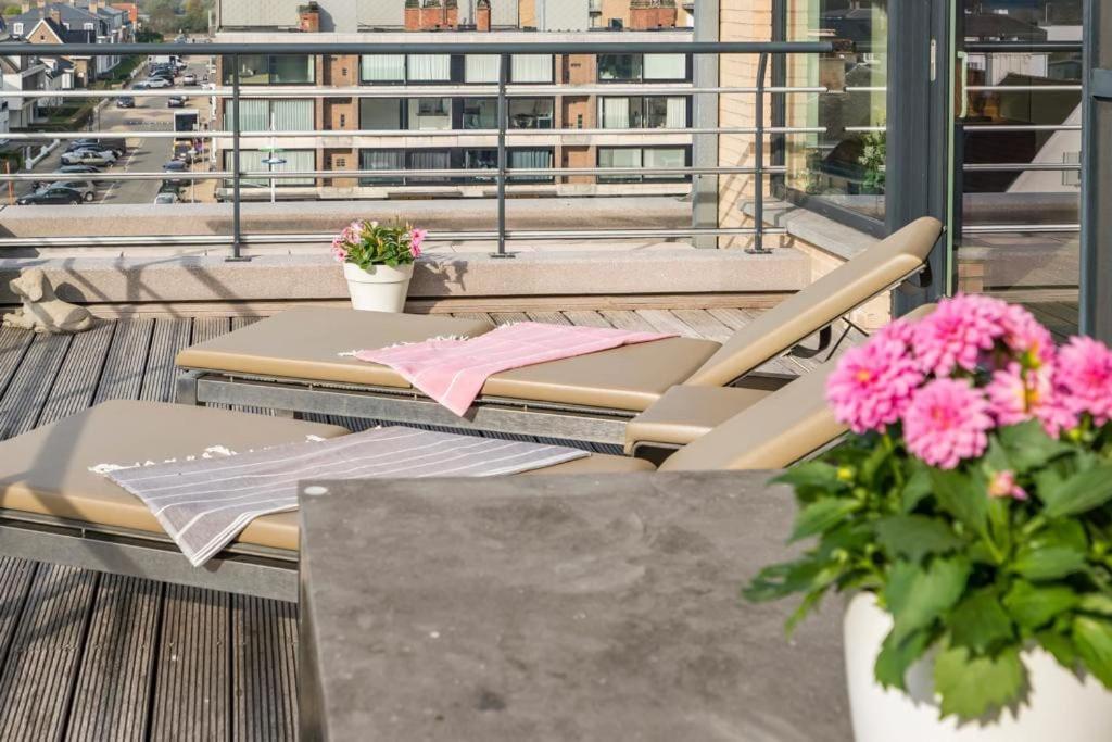 Ruim appartement met heerlijk zonneterras photo 4