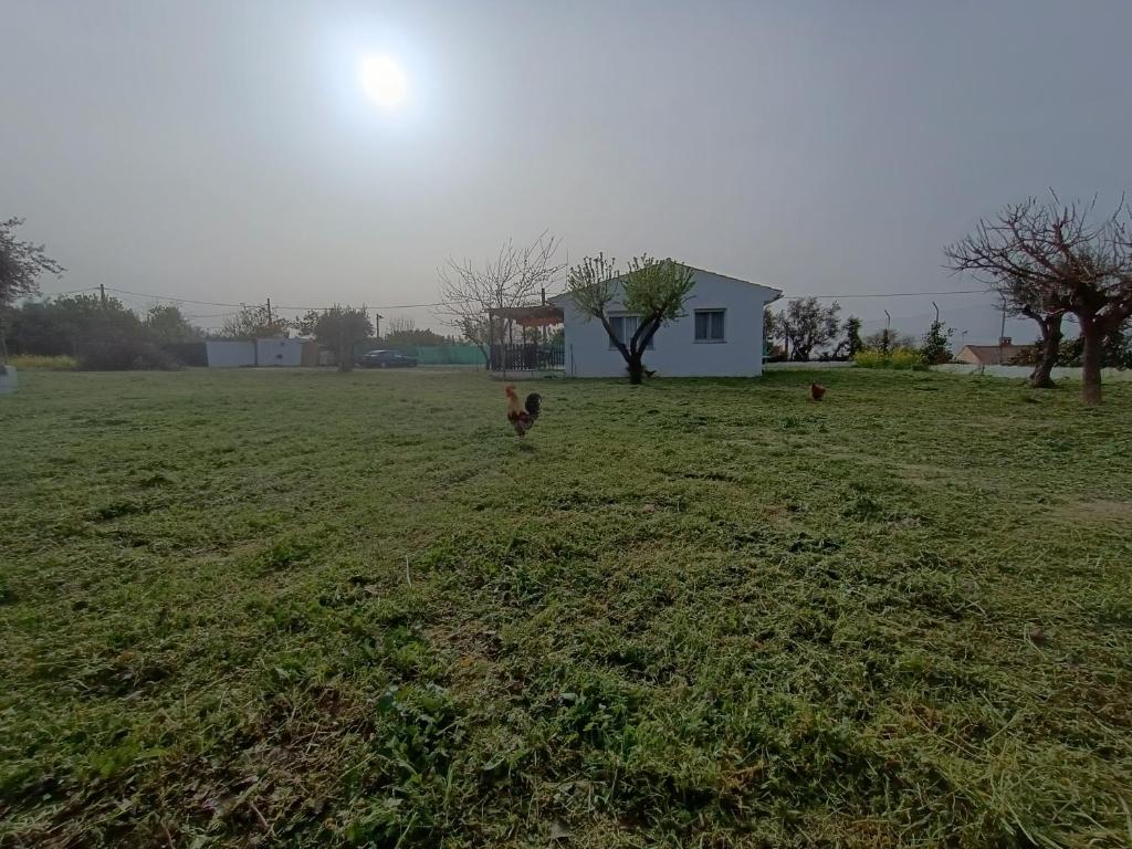 Casa de Campo Los Manueles Ideal Perros Pet Friendly photo 1