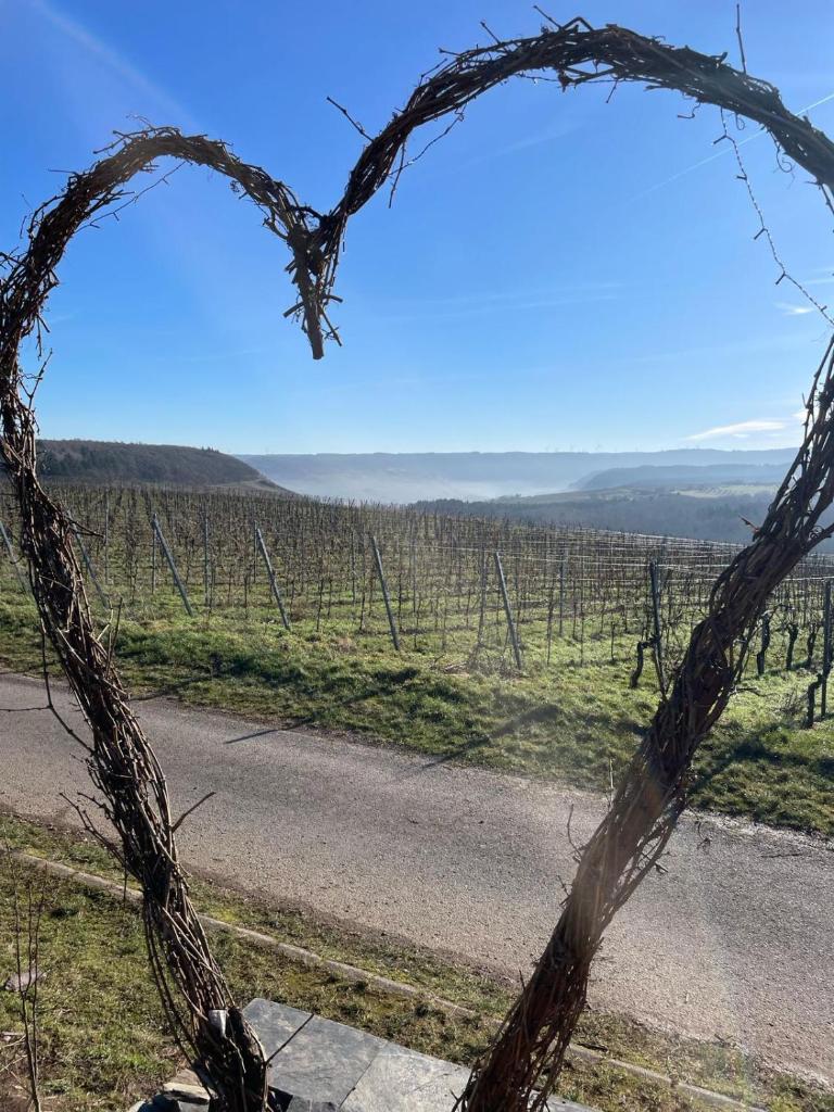 Neue Fewo mit Weinbergsblick - Moselurlaub photo 4