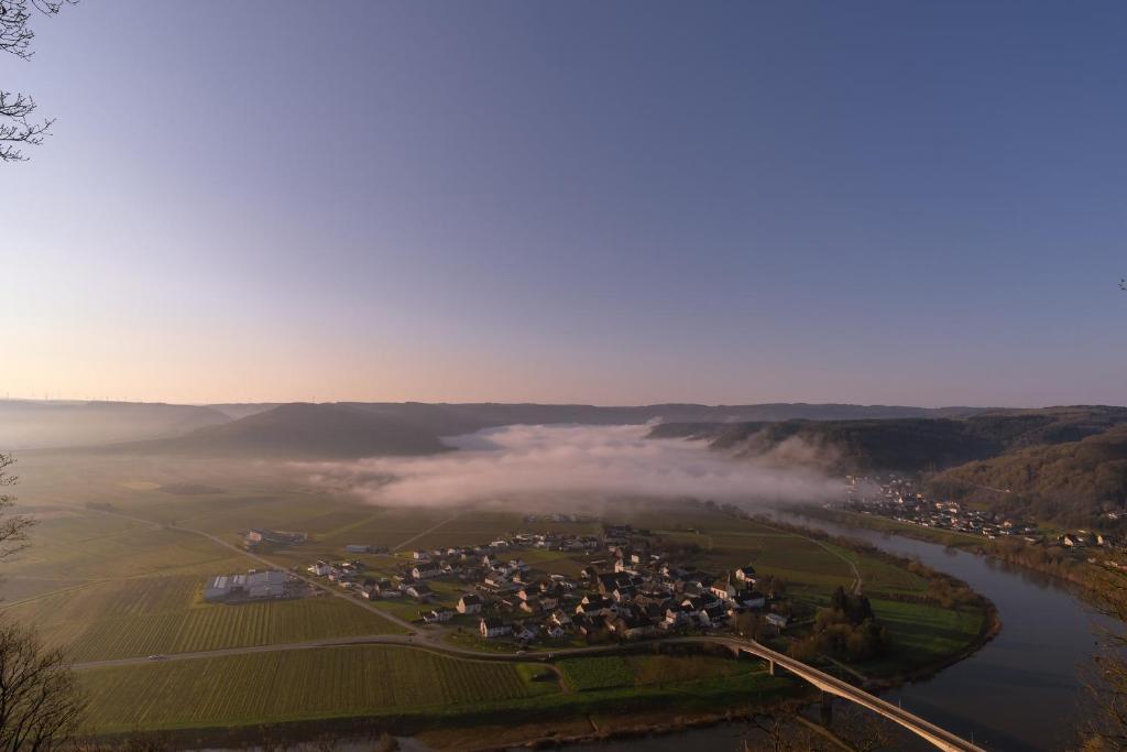 Neue Fewo mit Weinbergsblick - Moselurlaub photo 3