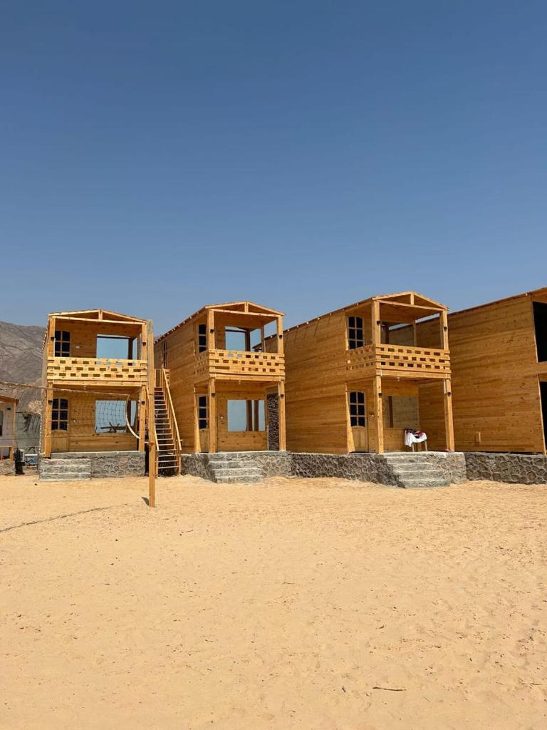 Mohamed Life Camp photo 3