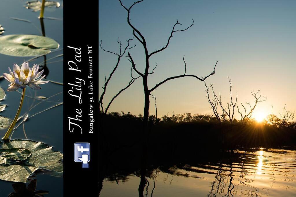 The Lily Pad - Bungalow 31 Lake Bennett