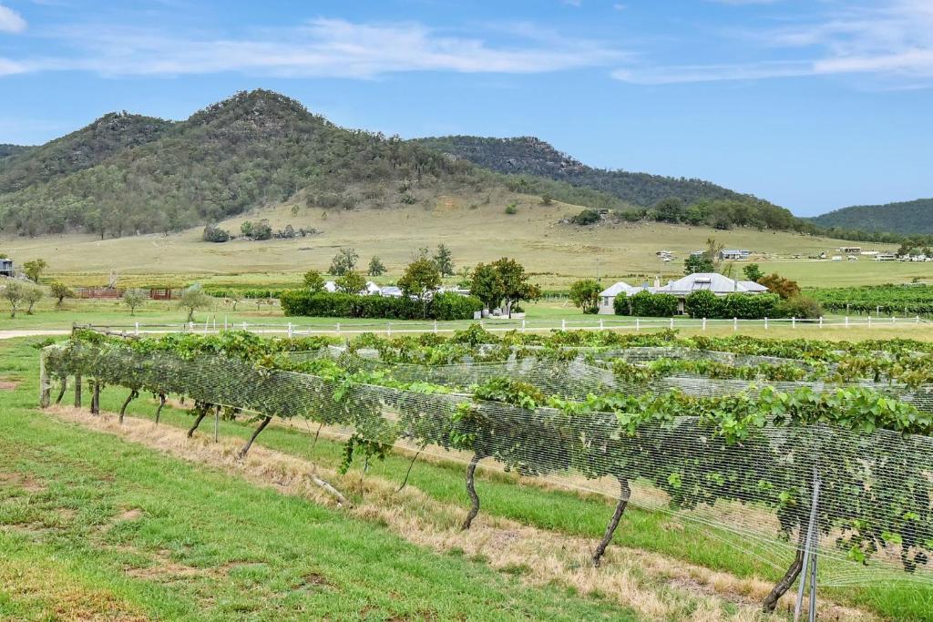 Somerville Wines Cottage