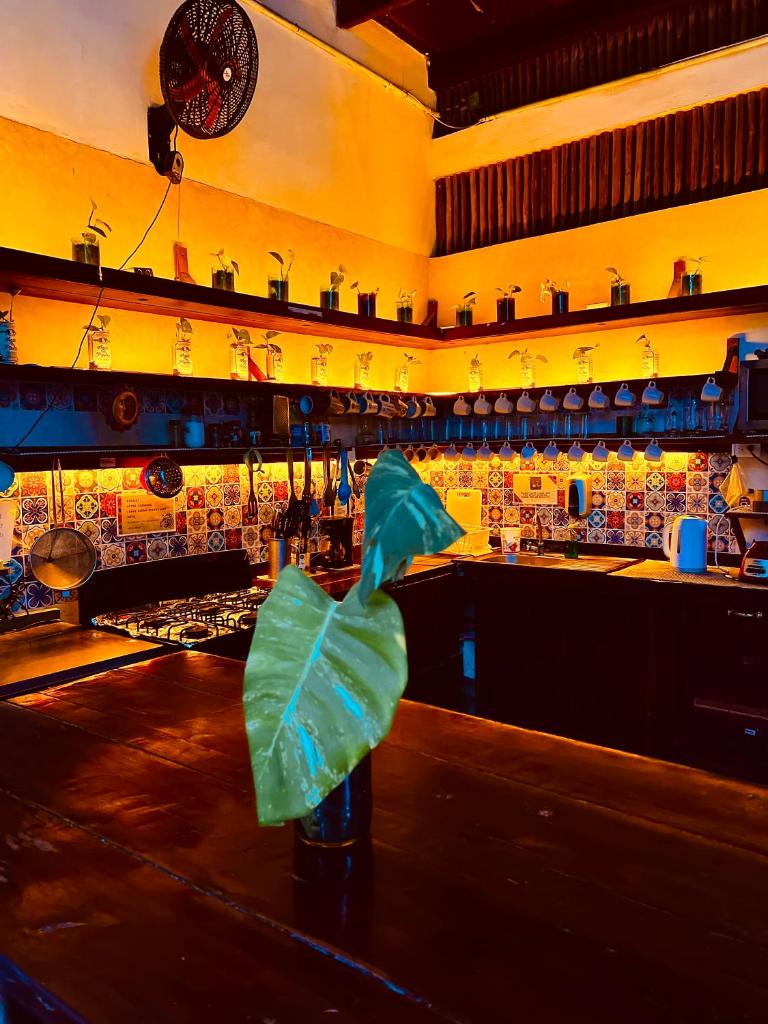 HOLBOX HOSTAL photo 3