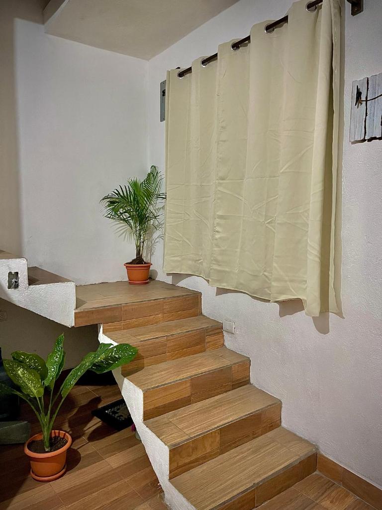 Casa Encanto photo 4