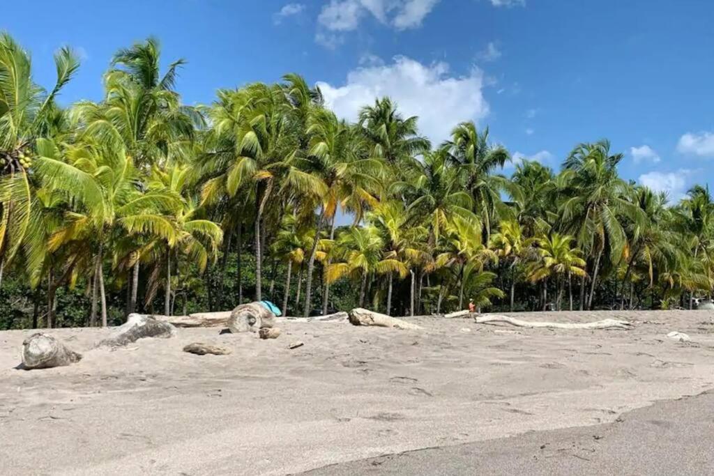4 Beautiful top unit, pvt deck, GREAT location! photo 3