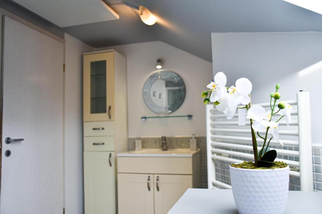 Apartma Pina photo 4