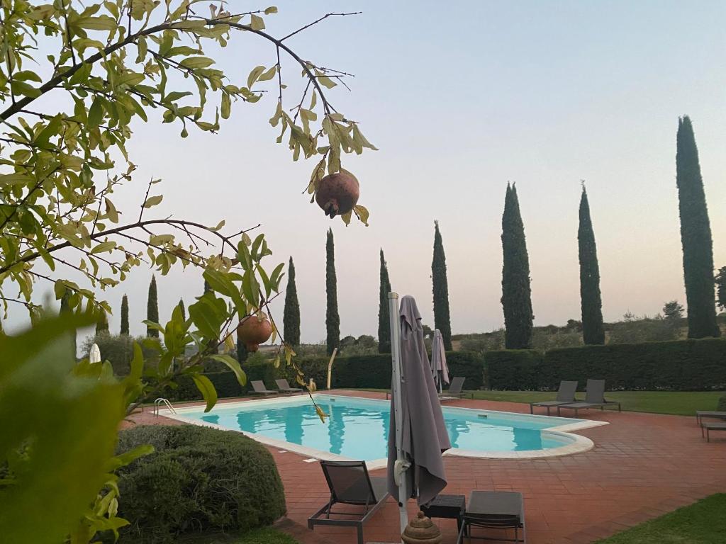 Ghiaccio Bosco photo 1