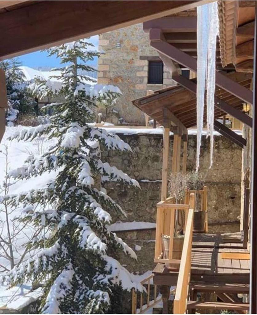 Nymfes Guesthouse photo 2