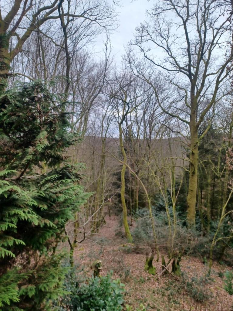 vogelzang photo 2