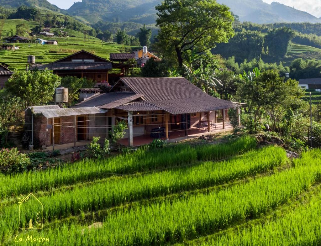 La Maison SAPA - Bamboo forest