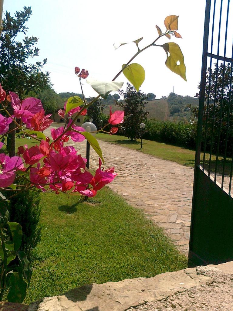 Casale Degli Ulivi Prestige photo 4