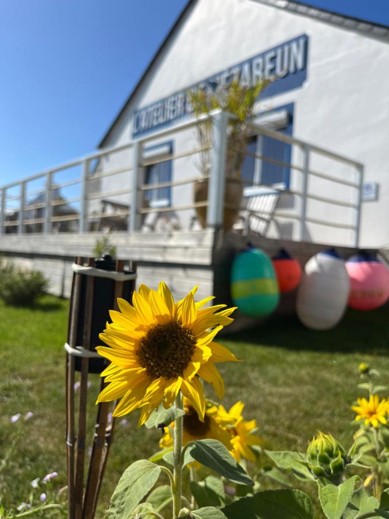 L'Atelier de Mézareun photo 4