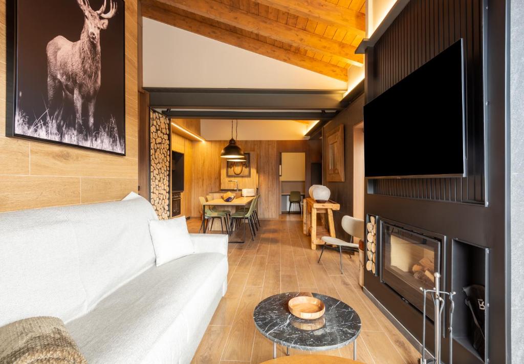 CASES CERDANYA MOUNTAIN RESIDENCES photo 2