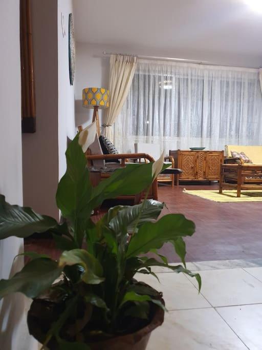 BEST7 two bedroom apt in UN Kazanchis area photo 2