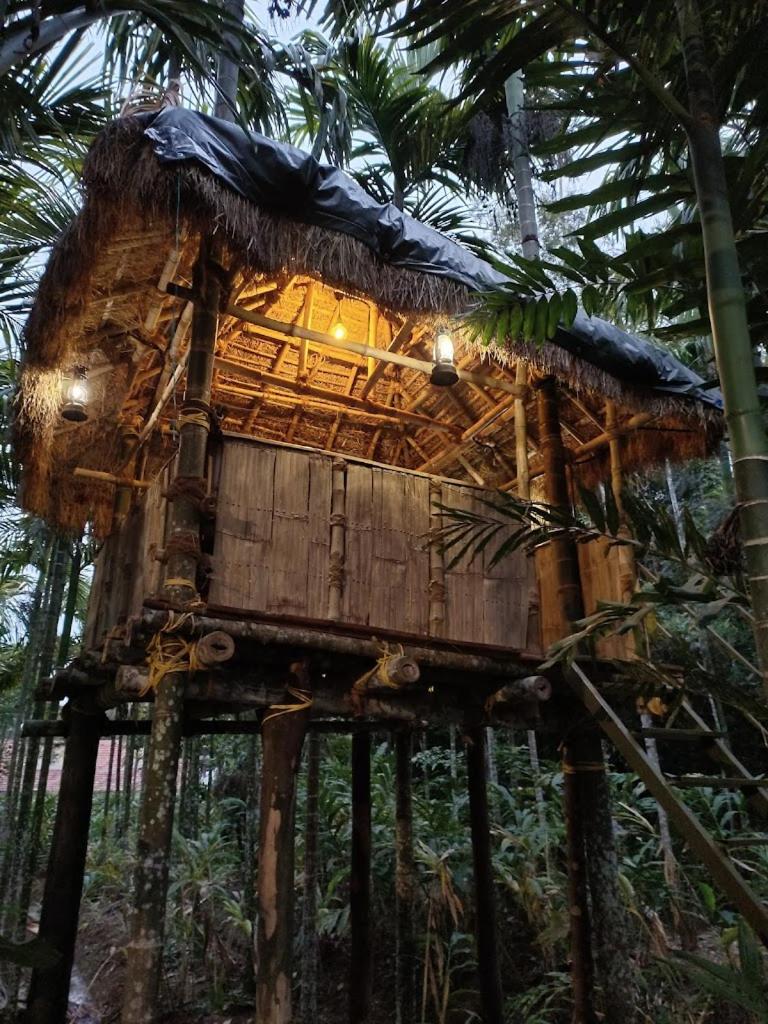 Livi Homestay photo 3