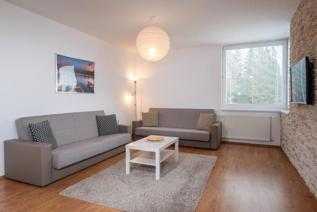 TATRYSTAY Apartment Smrek photo 3