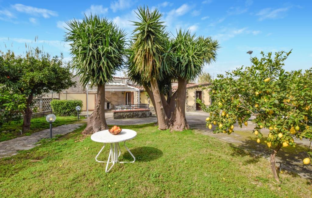 2 Bedroom Beautiful Home In Torrenova photo 2
