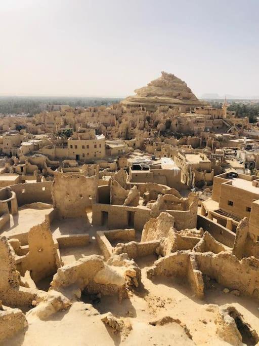 Paradise Hosting Group Siwa photo 4