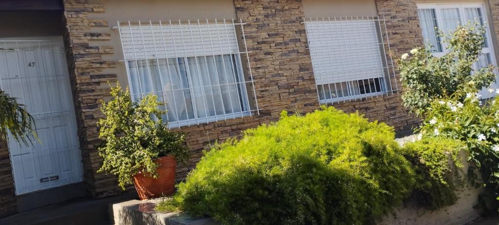 Mi casita photo 4